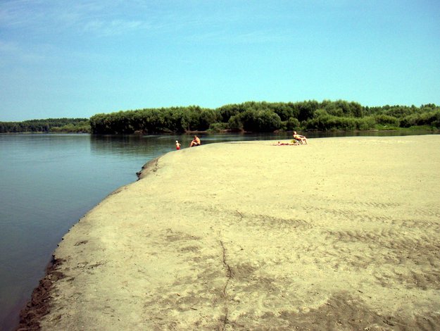 100_1423.jpg